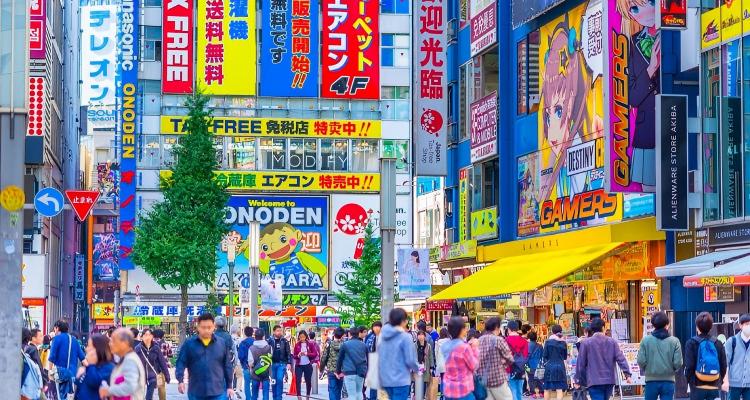 秋叶原（PC）