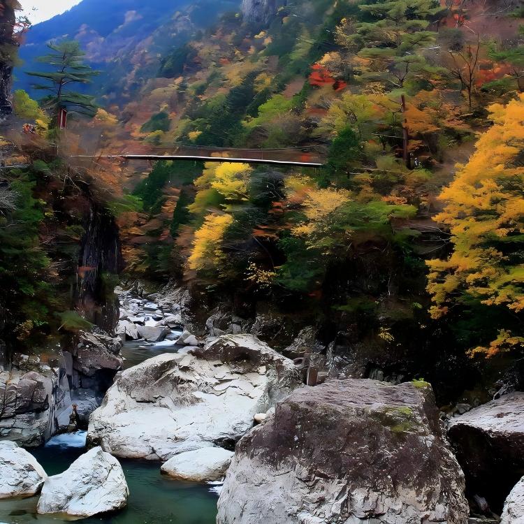 天川村漫步(H5) 天川村漫步(H5)