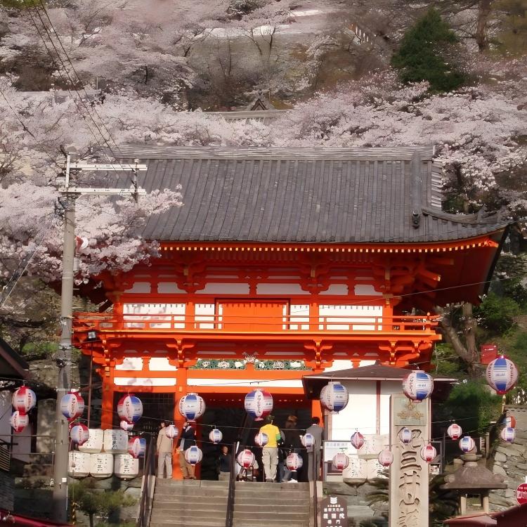 纪三井寺(H5)