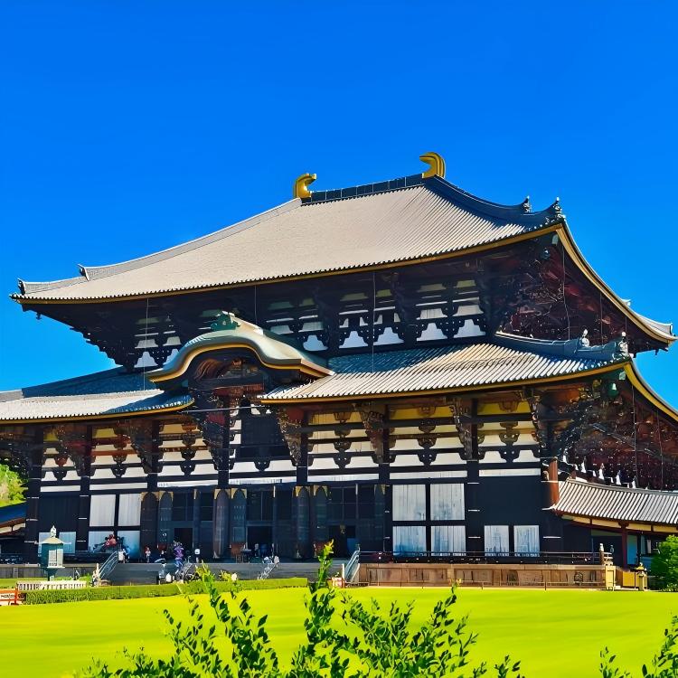 东大寺(H5) 东大寺(H5)