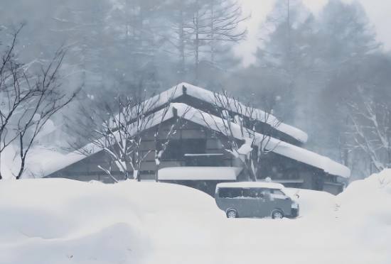 踏雪寻梦