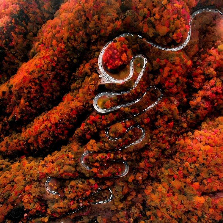 伊吕波山道(H5) 伊吕波山道(H5)