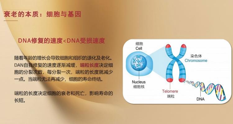 大健康(PC)4