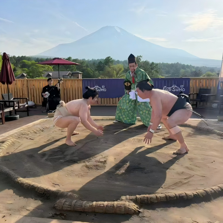 相扑08 H5