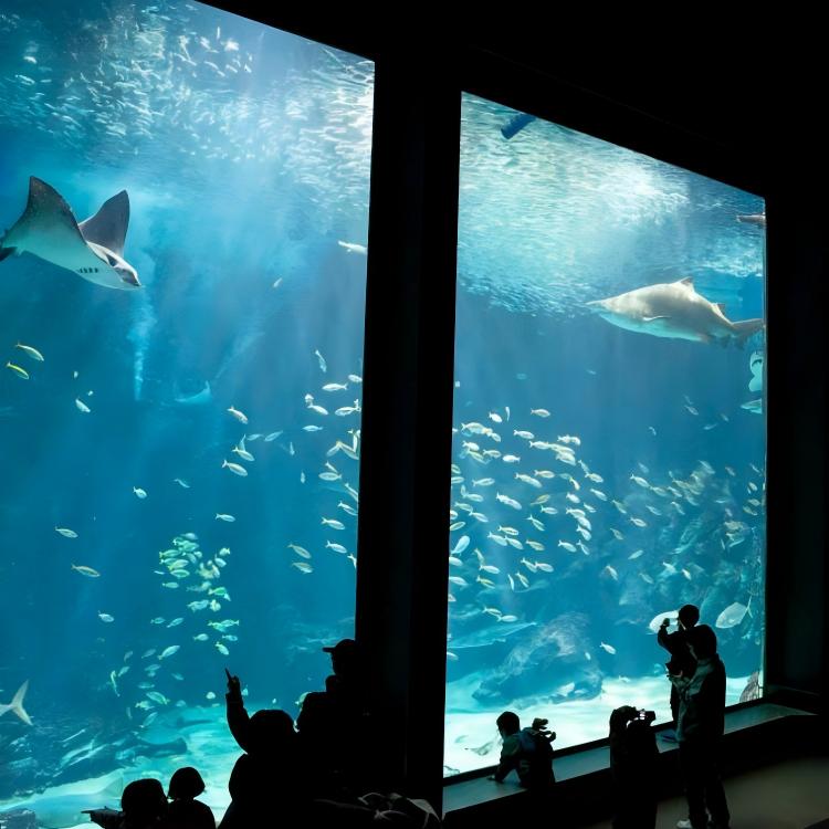 福冈海中道海洋世界(H5)
